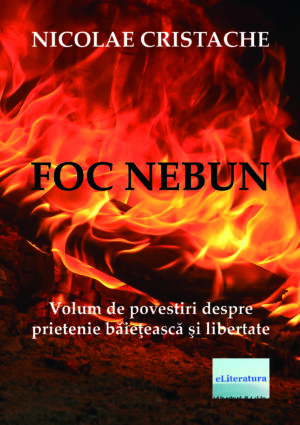 Foc nebun