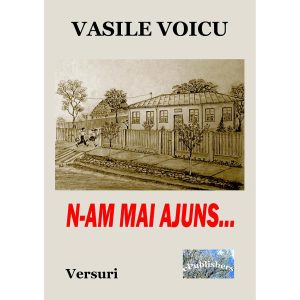 N-am mai ajuns... Versuri